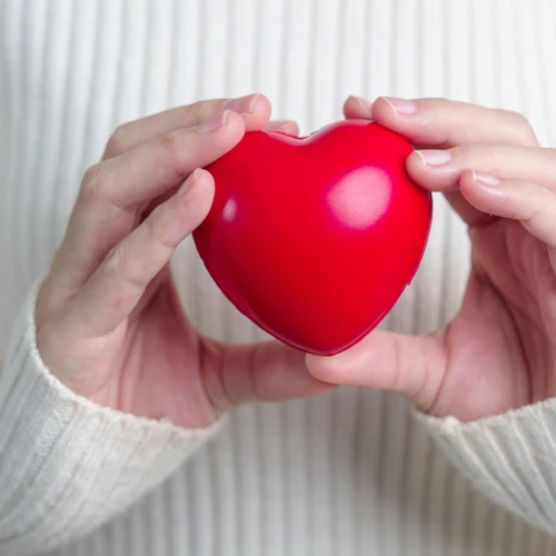 Wechseljahre & Cholesterin: Gibt es hier einen Zusammenhang?